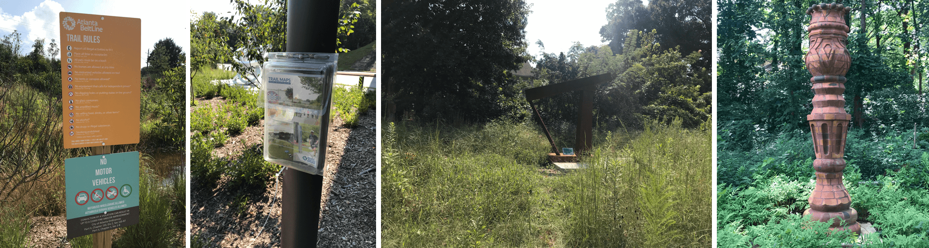 Field Observation Insights